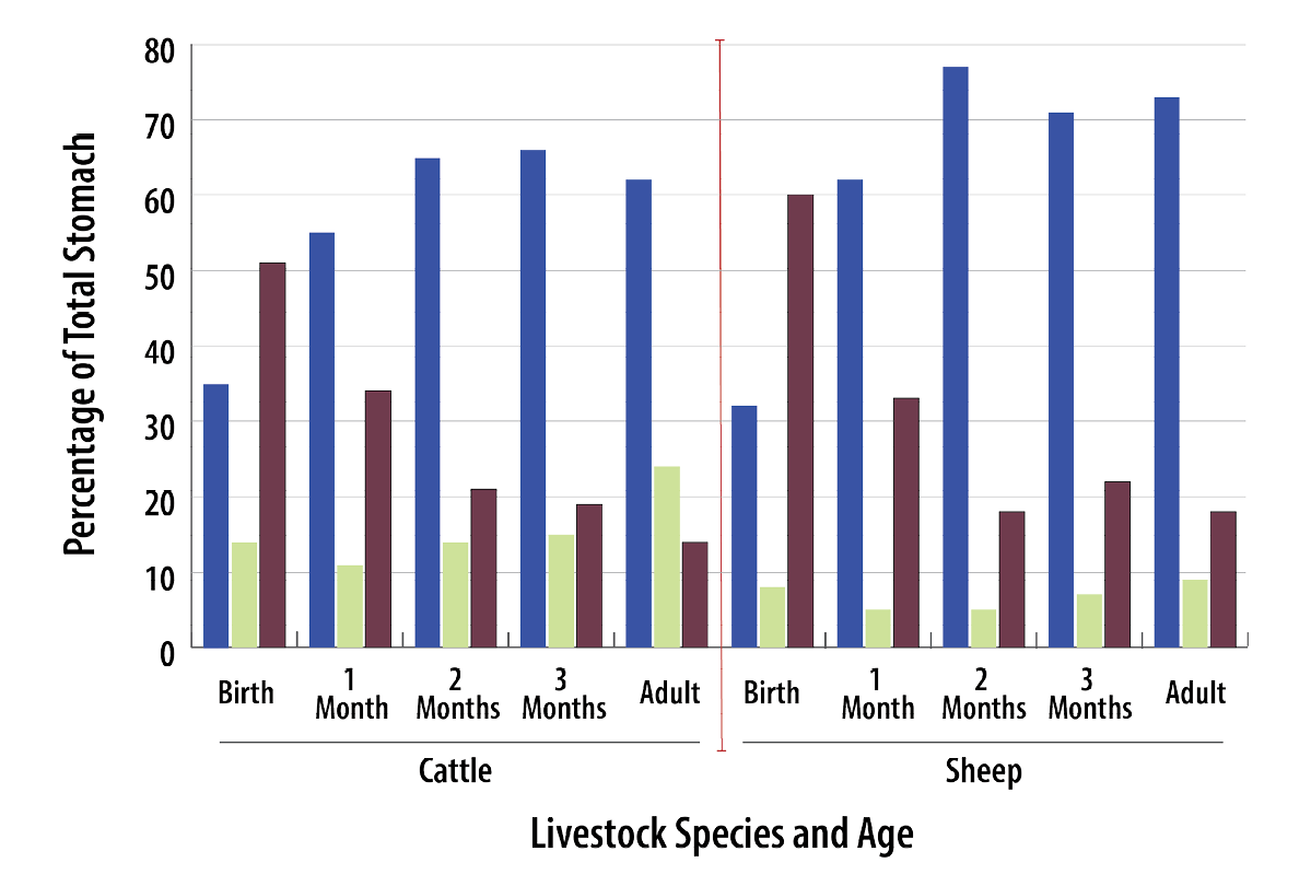 See the data table below.