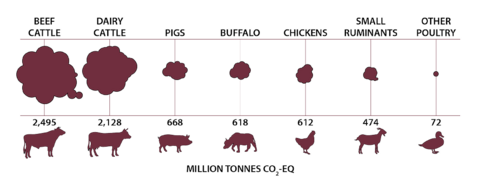 Methane emissions from different livestock in million tonnes: beef cattle emit 2,495; dairy cattle emit 2,128; pigs emit 668, buffalo emit 618; chickens emit 612; small ruminants emit 474; and other poultry emit 72. 