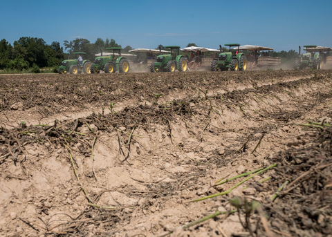Five tractors are lined up in a field with dirt rows.