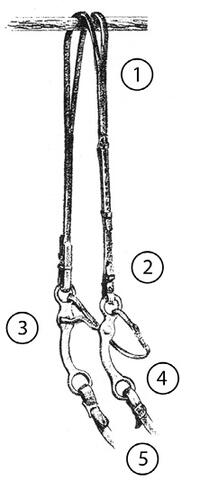 Diagram of a split ear curb bit. Parts are numbered and listed in text.
