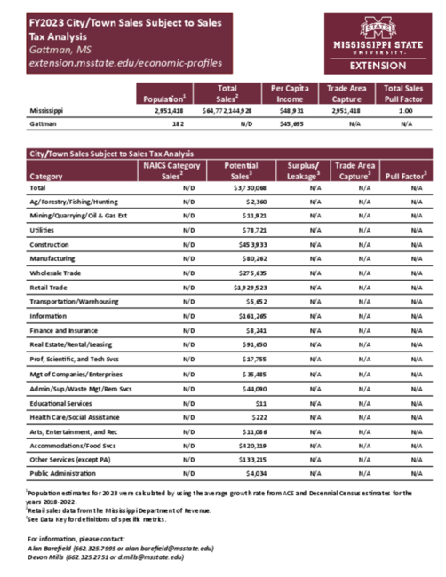 Preview of Gattman_city_retail_analysis