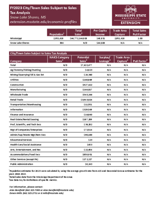 Preview of Snow_Lake_Shores_city_retail_analysis