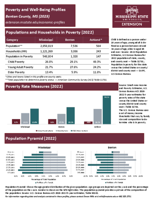 Preview of benton_poverty_profile