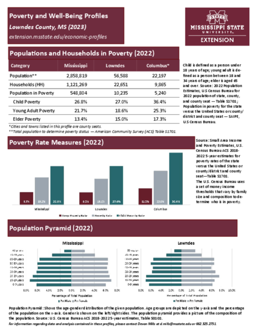 Preview of lowndes_poverty_profile