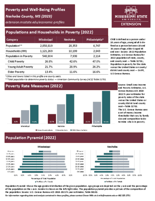 Preview of neshoba_poverty_profile