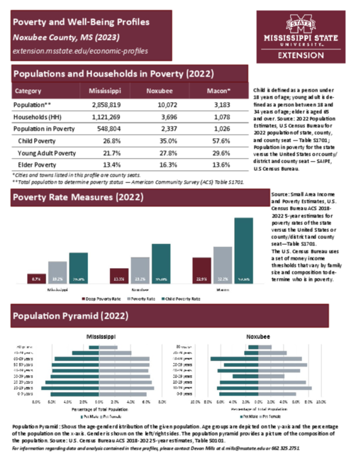 Preview of noxubee_poverty_profile