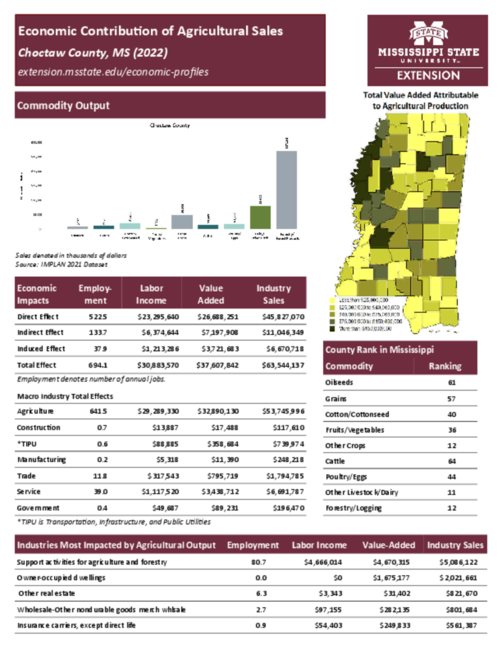 Preview of choctaw_county_ag_sales