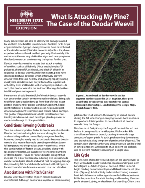 Preview of P3057