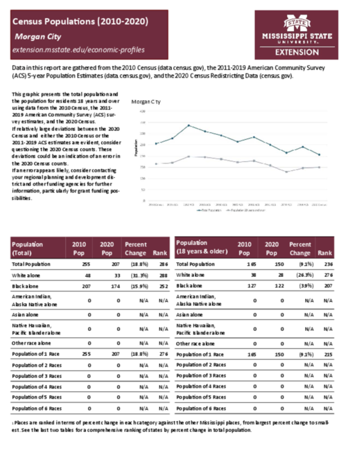Preview of morgan_city_census_profile