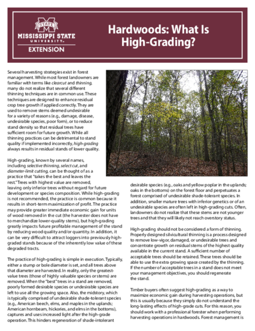 Preview of P3451_web