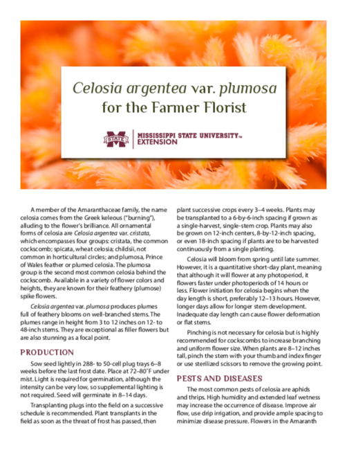 Preview of P3915_web
