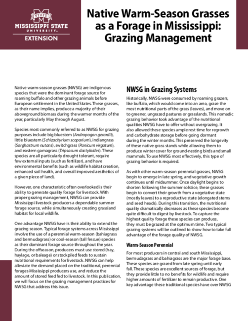 Preview of P2843_web