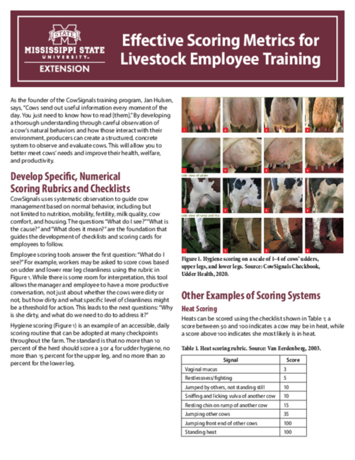 Preview of P4199_web.pdf
