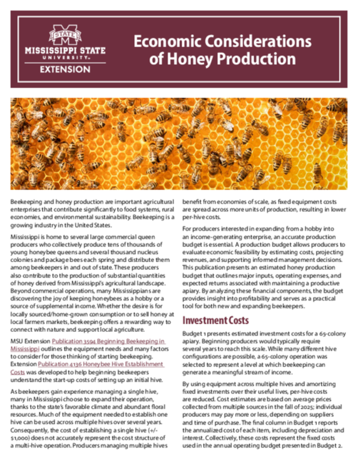 Preview of P4124_2026_web.pdf