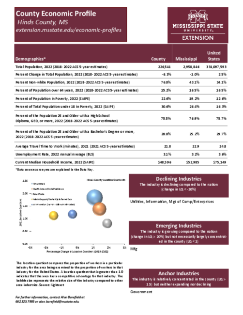 Preview of hinds_county_economic.pdf
