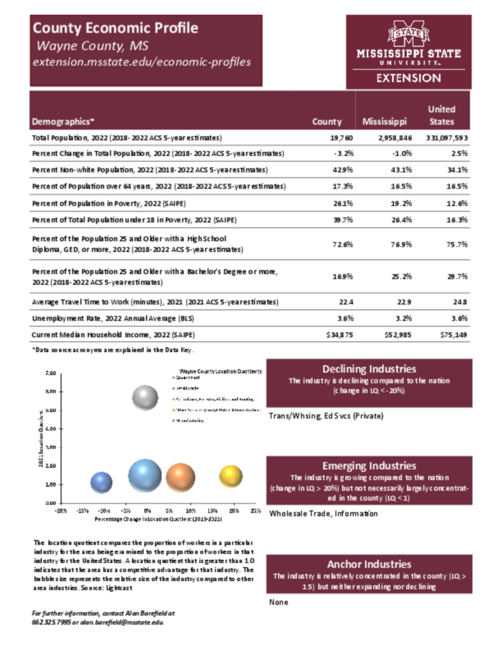Preview of wayne_county_economic.pdf